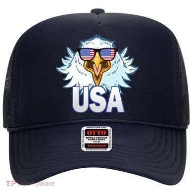 USA Eagle & Shield Hat