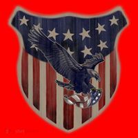 USA Eagle & Shield Santa Hat thumb 1