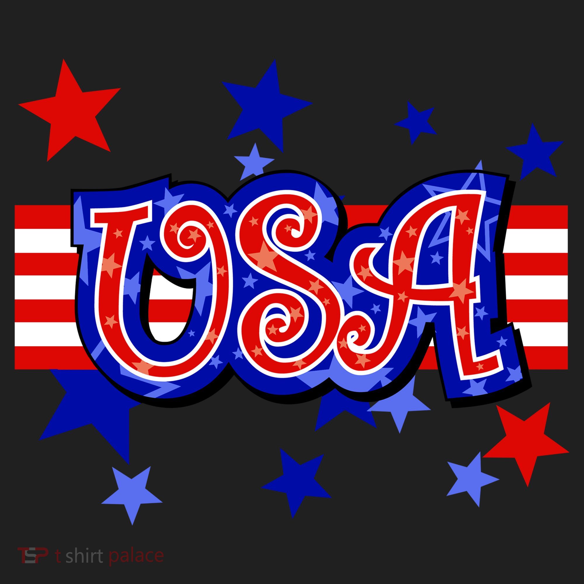 USA Festive Celebration Women's Sweatshirt
