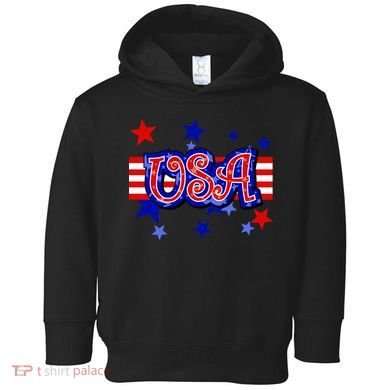 USA Festive Celebration Toddler Hoodie