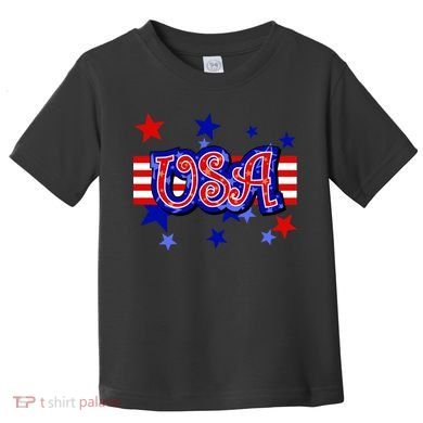 USA Festive Celebration Toddler T-Shirt