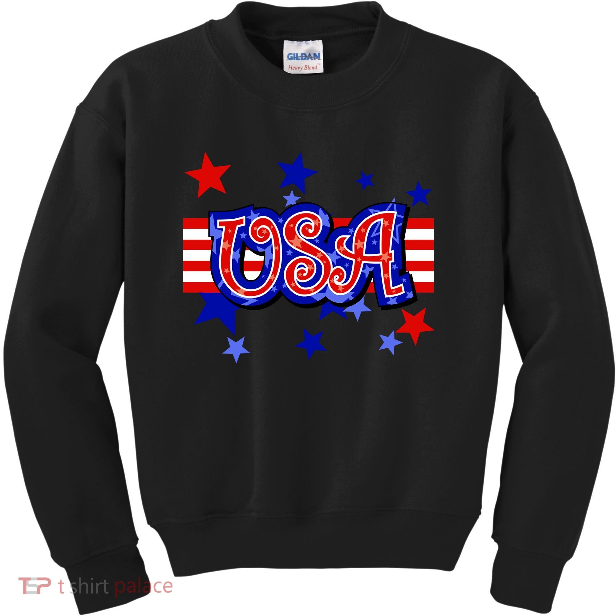 USA Festive Celebration Kids Sweatshirt