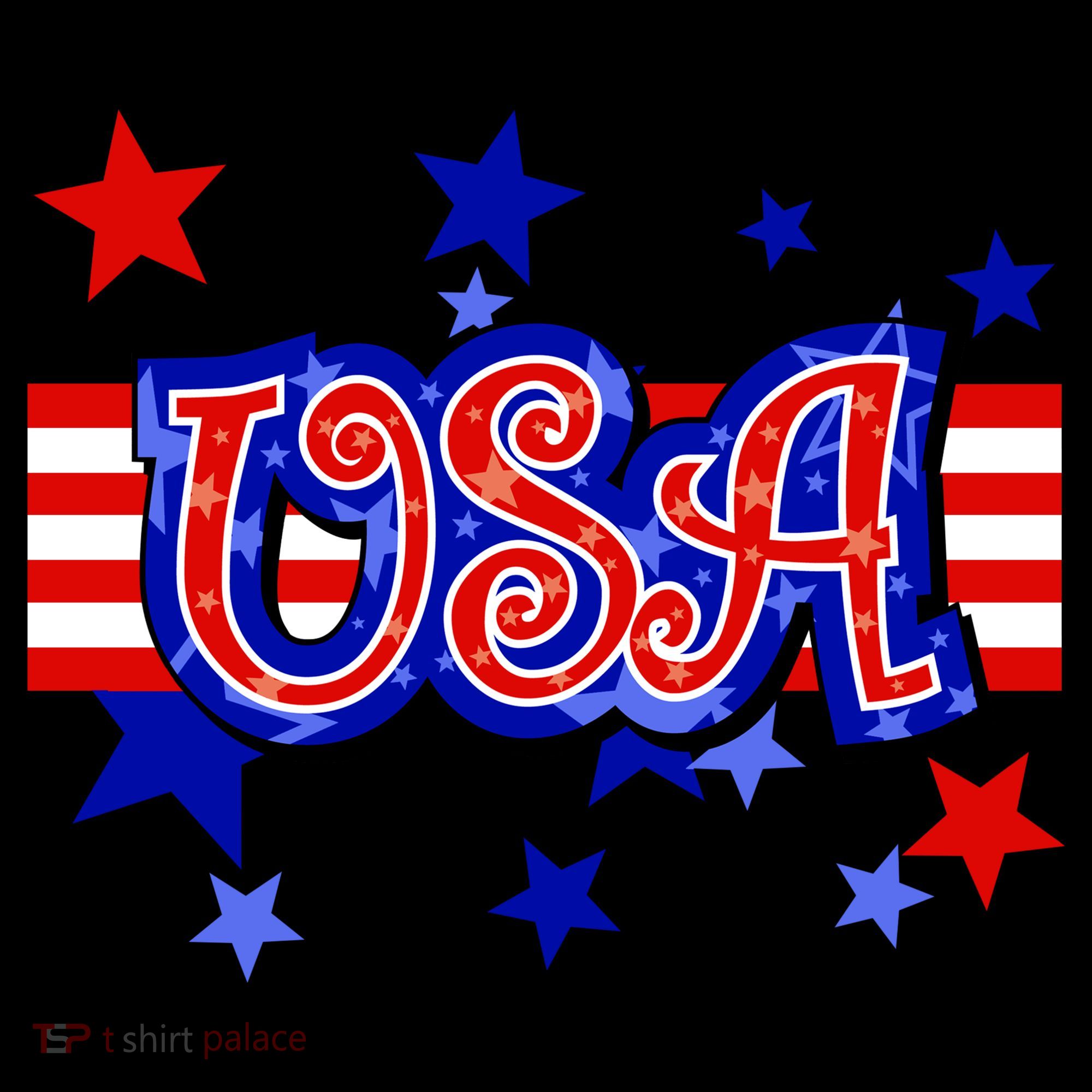 USA Festive Celebration Kids Sweatshirt