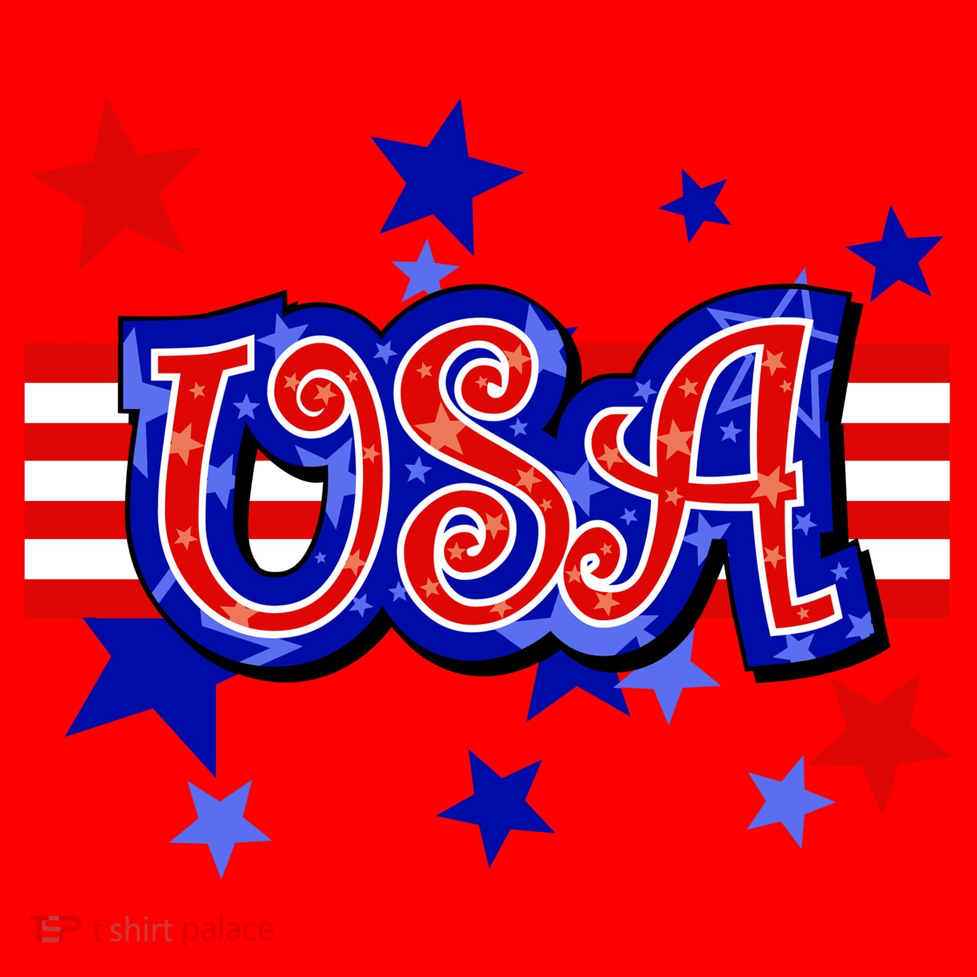 USA Festive Celebration Santa Hat