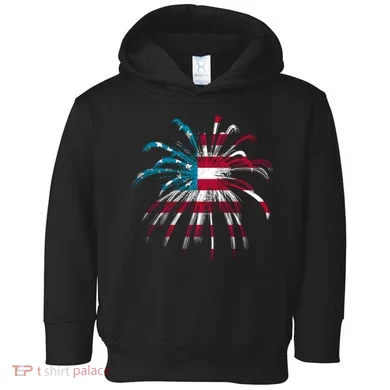 Usa Firework 4th Of July Toddler Hoodie