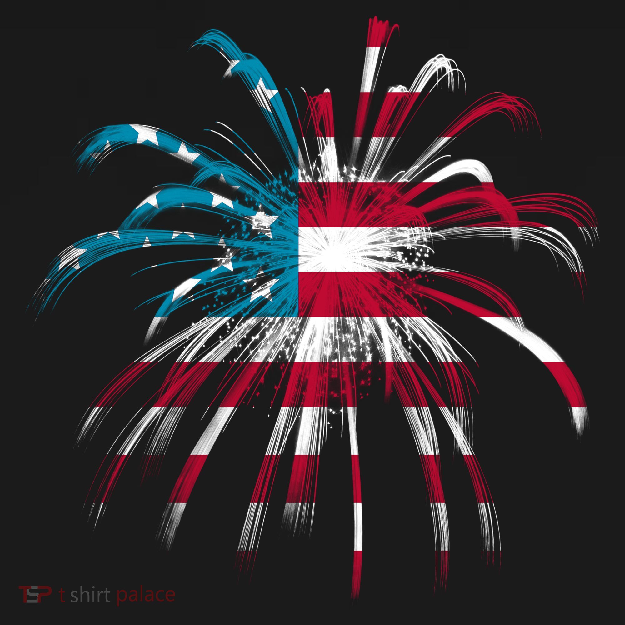 Usa Firework 4th Of July Kids T-Shirt