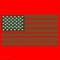 USA Flag Marijuana Cannabis Weed Styled Santa Hat thumb 1