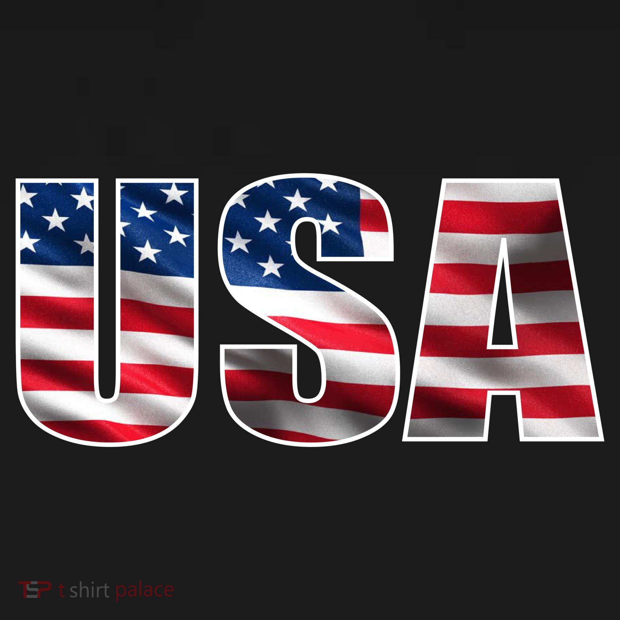 USA Flag Team Logo Backpack