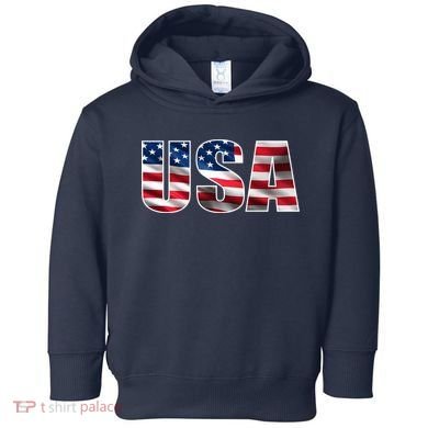 USA Flag Team Logo Toddler Hoodie