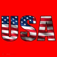 USA Flag Team Logo Santa Hat thumb 1