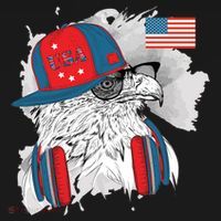 USA Hip Bald Eagle United States Flag Headphones Ornament thumb 1