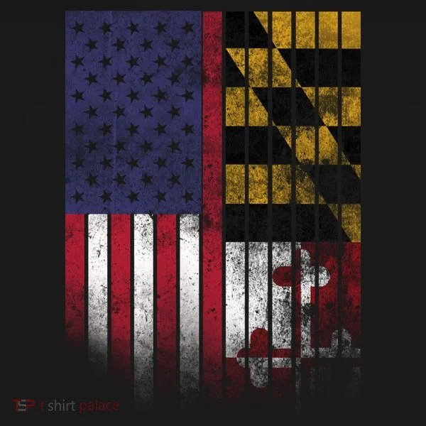 USA Maryland Flag Toddler Hoodie