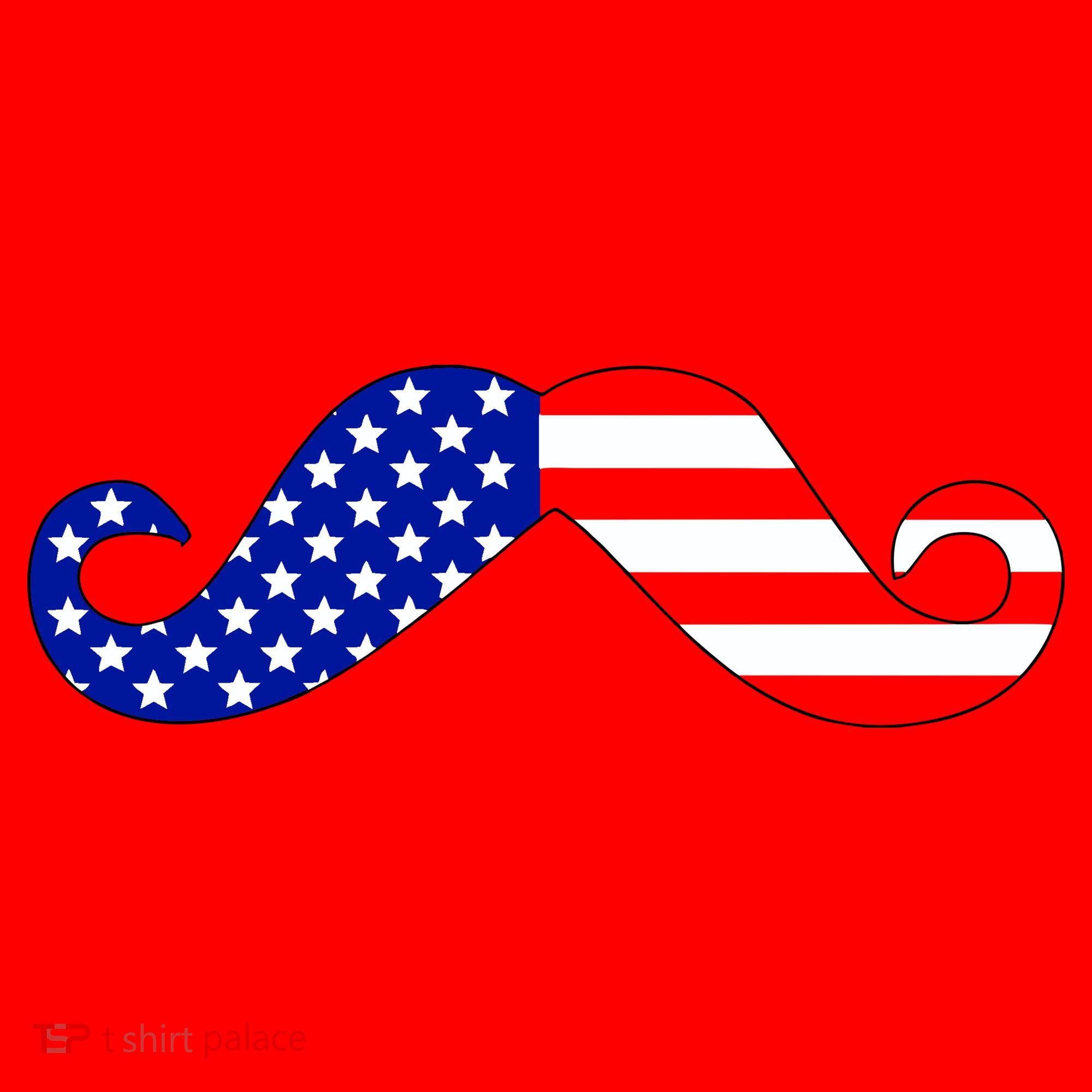 USA Mustache American Stache Santa Hat