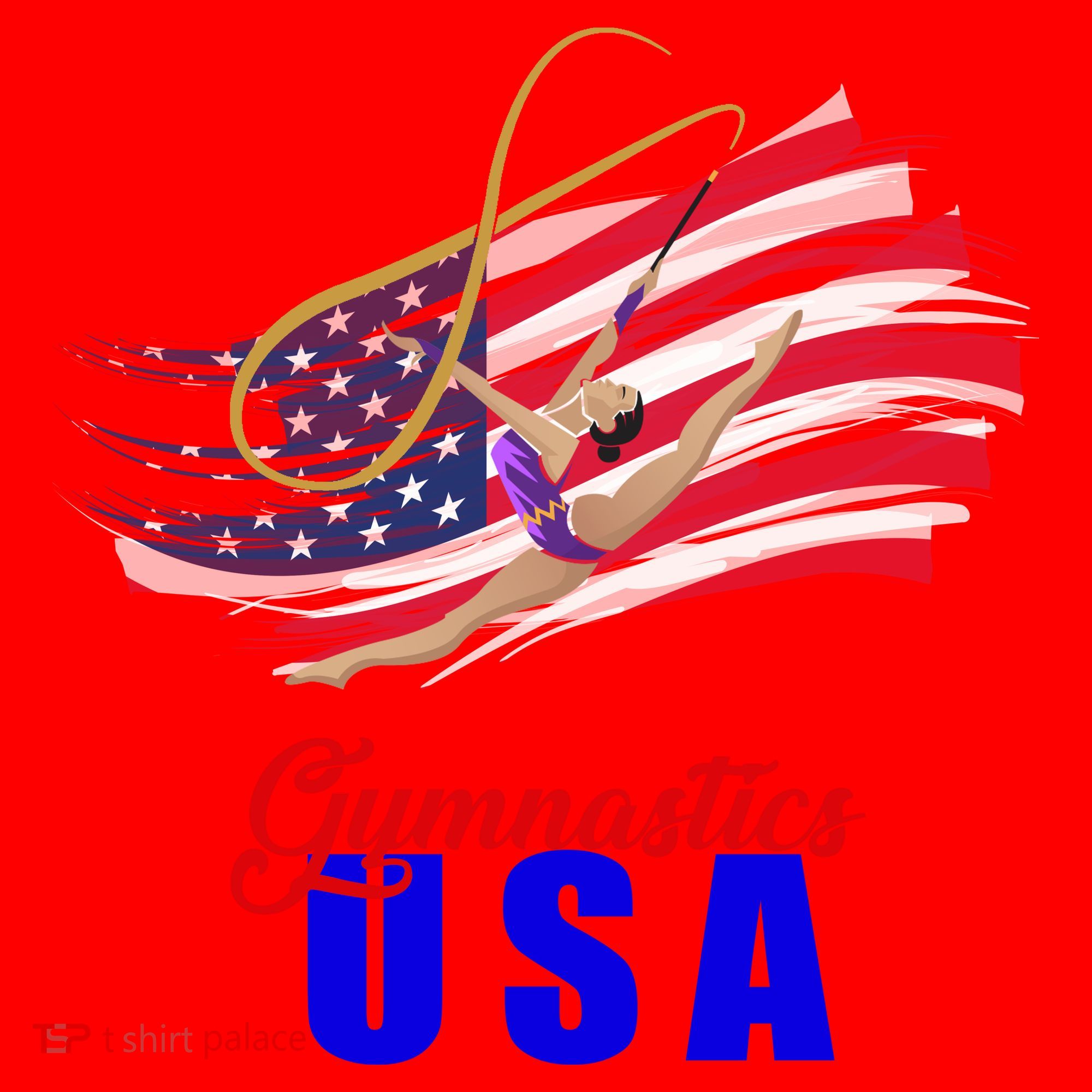 USA Olympics Gymnastics Team Santa Hat