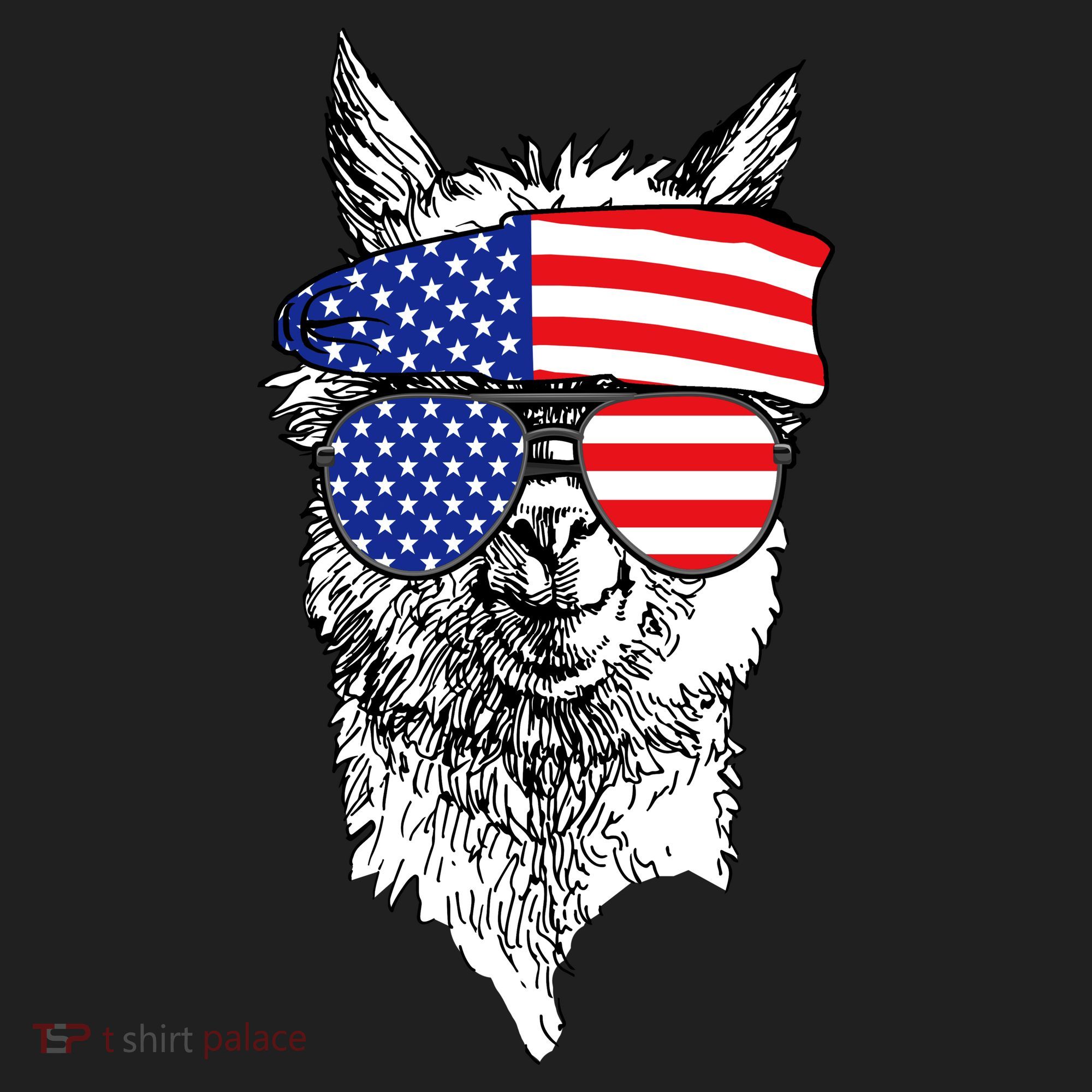 USA Patriotic Llama Hat