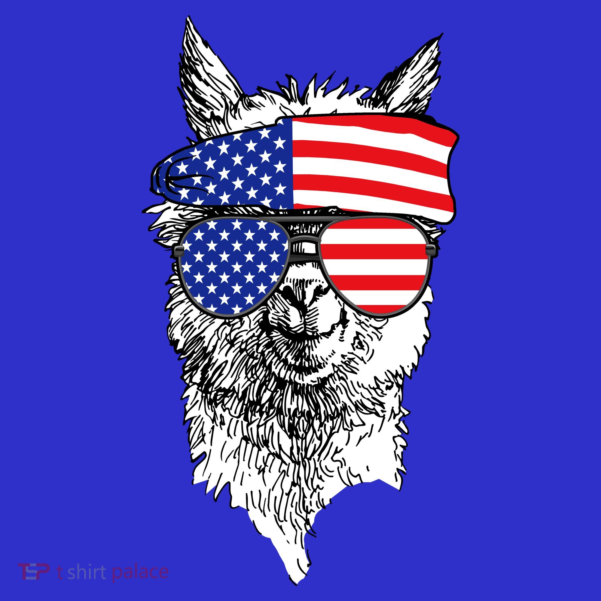 USA Patriotic Llama Women's Long Sleeve Shirt