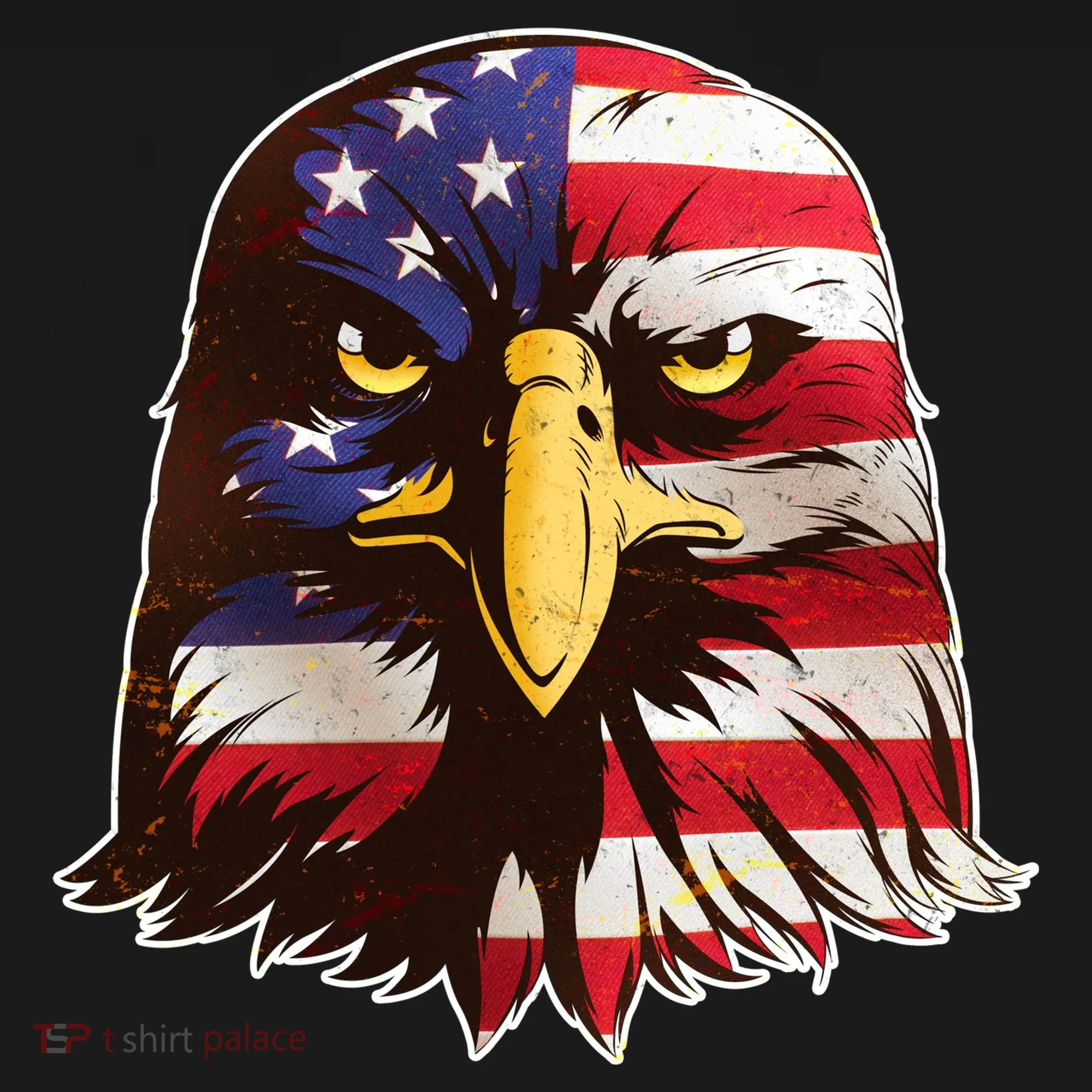 USA Red White And Blue Bald Eagle Women's Hoodie
