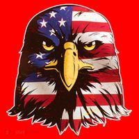 USA Red White And Blue Bald Eagle Santa Hat thumb 1