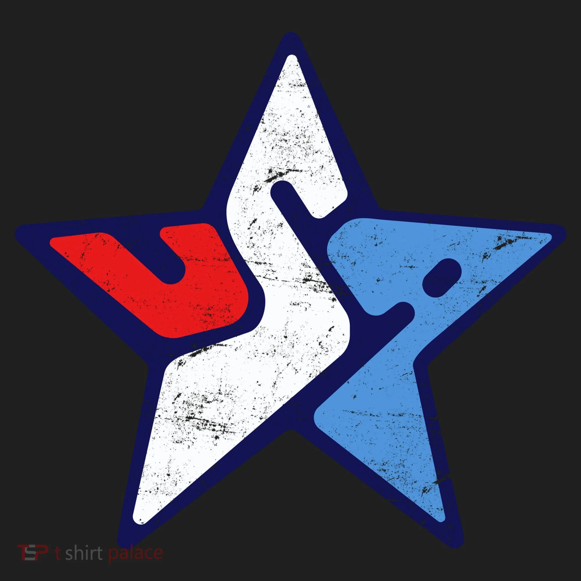 USA Star Logo Women's Sweatshirt