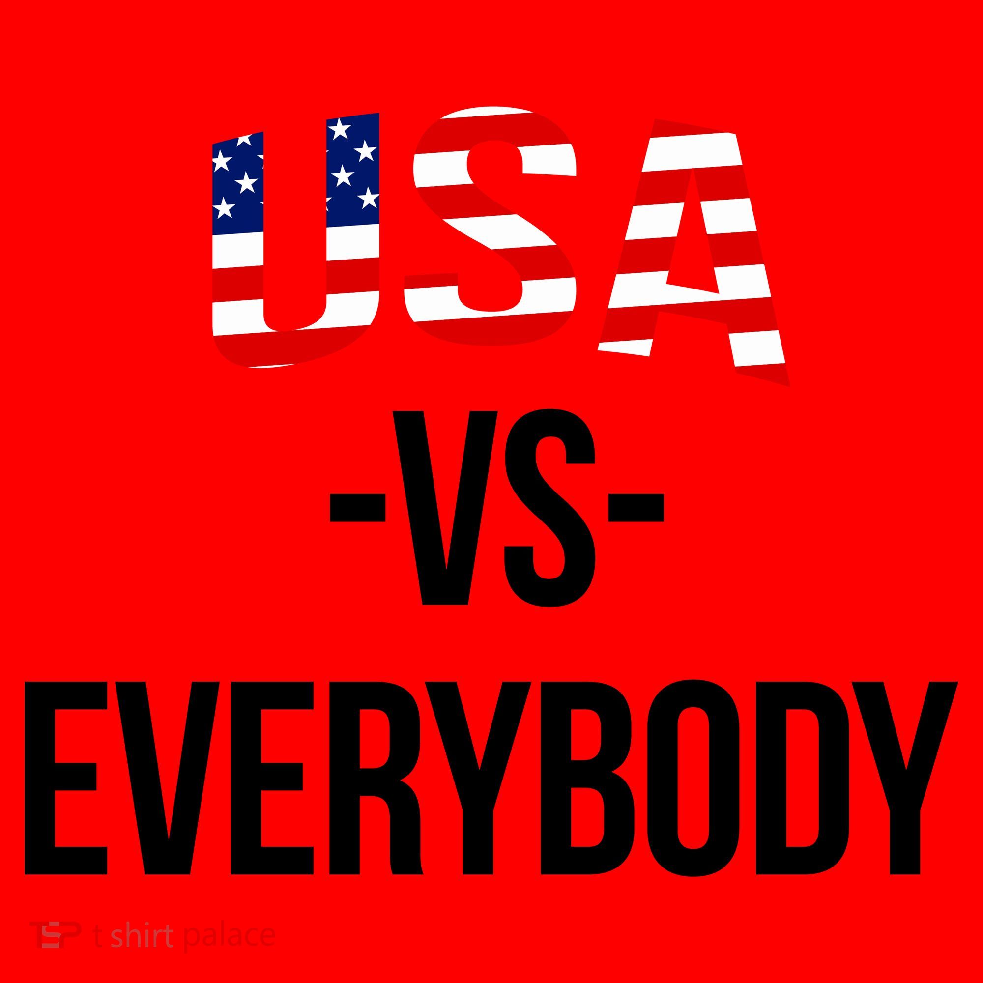 USA Vs Everybody Santa Hat