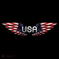 USA Wing Crest Logo Coffee Mug thumb 5