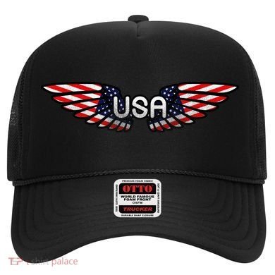 USA Wing Crest Logo Hat
