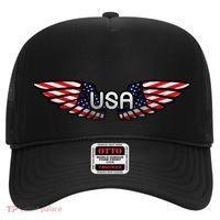USA Wing Crest Logo Hat thumb 0