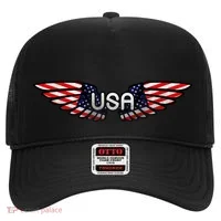 USA Wing Crest Logo Hat thumb 0