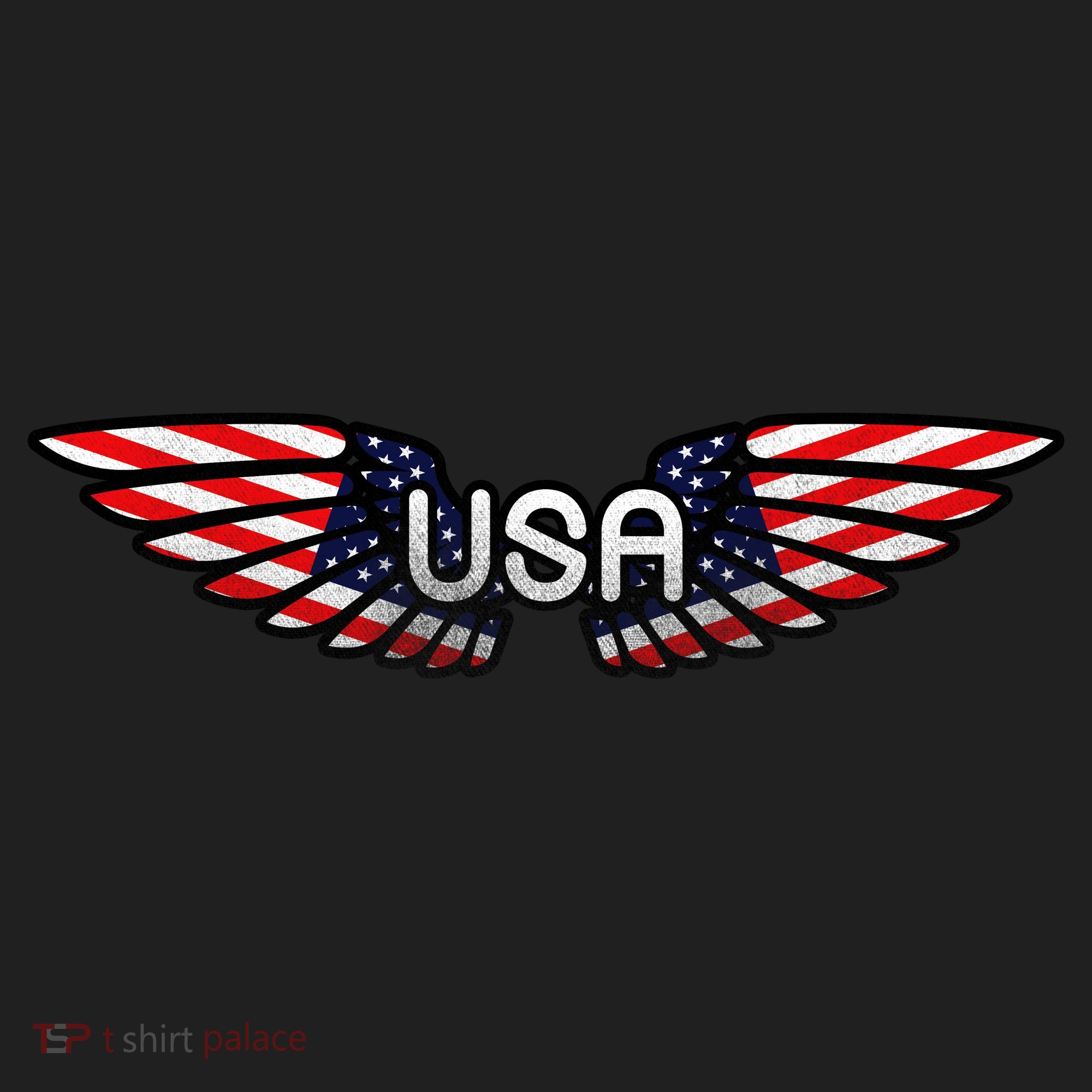 USA Wing Crest Logo Hat