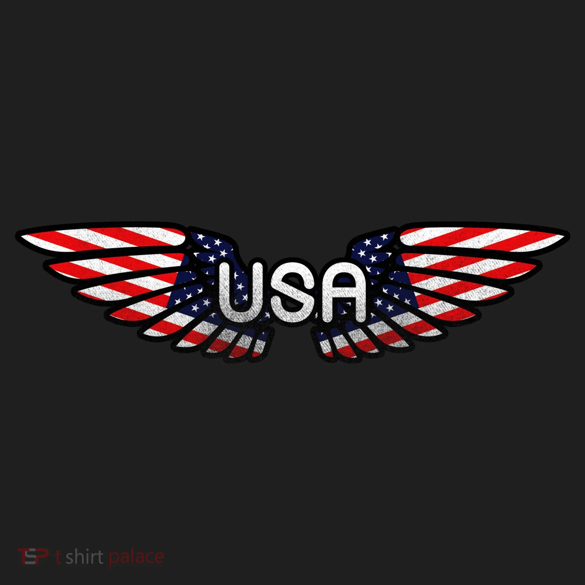 USA Wing Crest Logo Hat