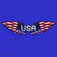 USA Wing Crest Logo Coaster thumb 2