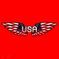 USA Wing Crest Logo Santa Hat thumb 1