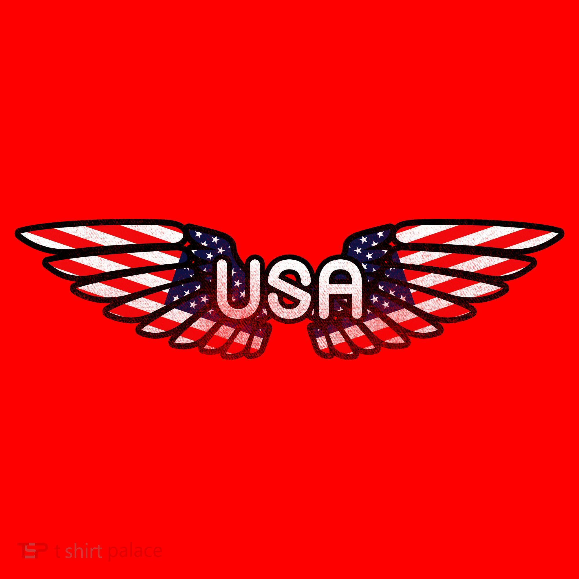 USA Wing Crest Logo Santa Hat
