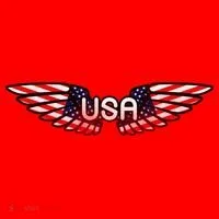 USA Wing Crest Logo Santa Hat thumb 1