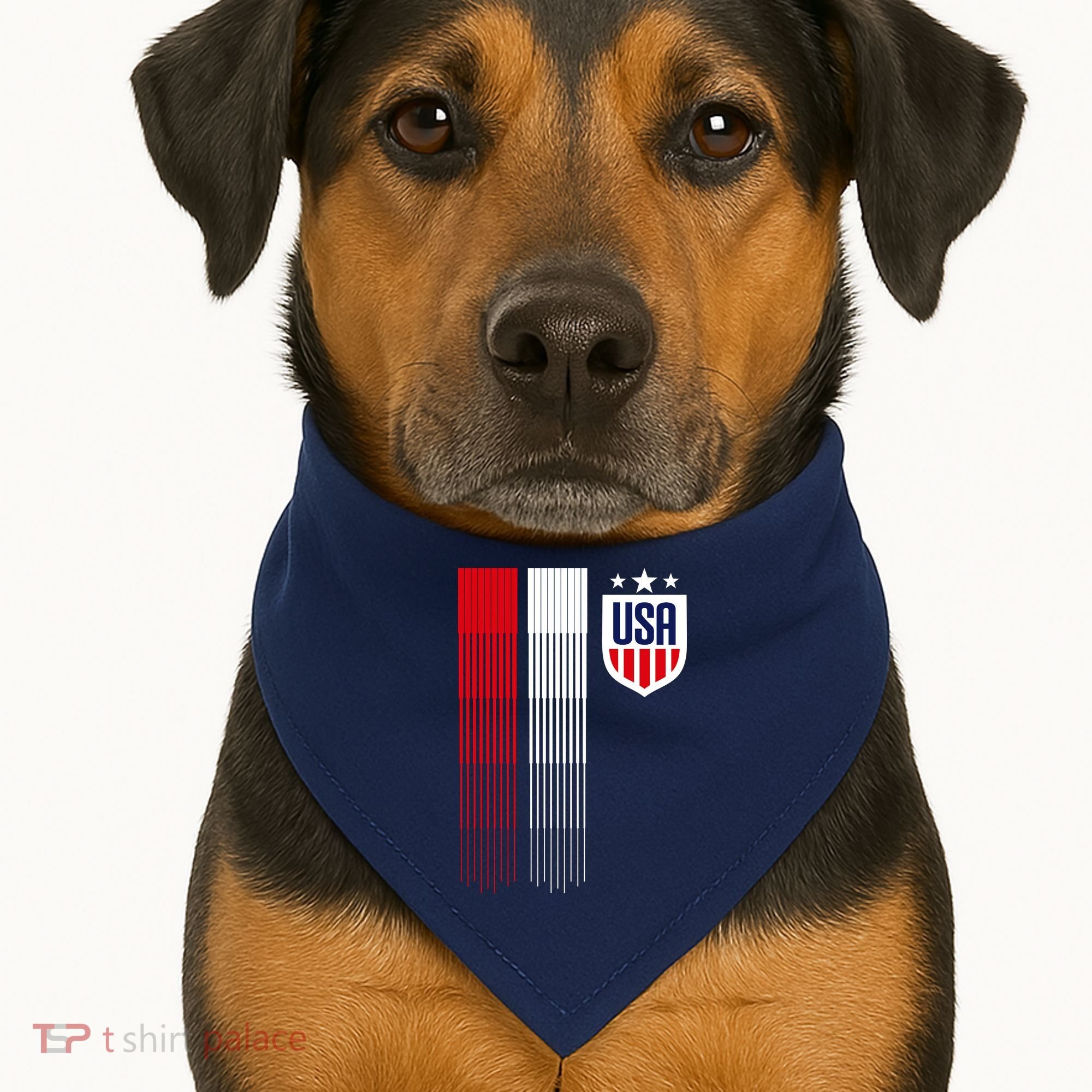 USA Women's Soccer USA-Made Doggie Bandana