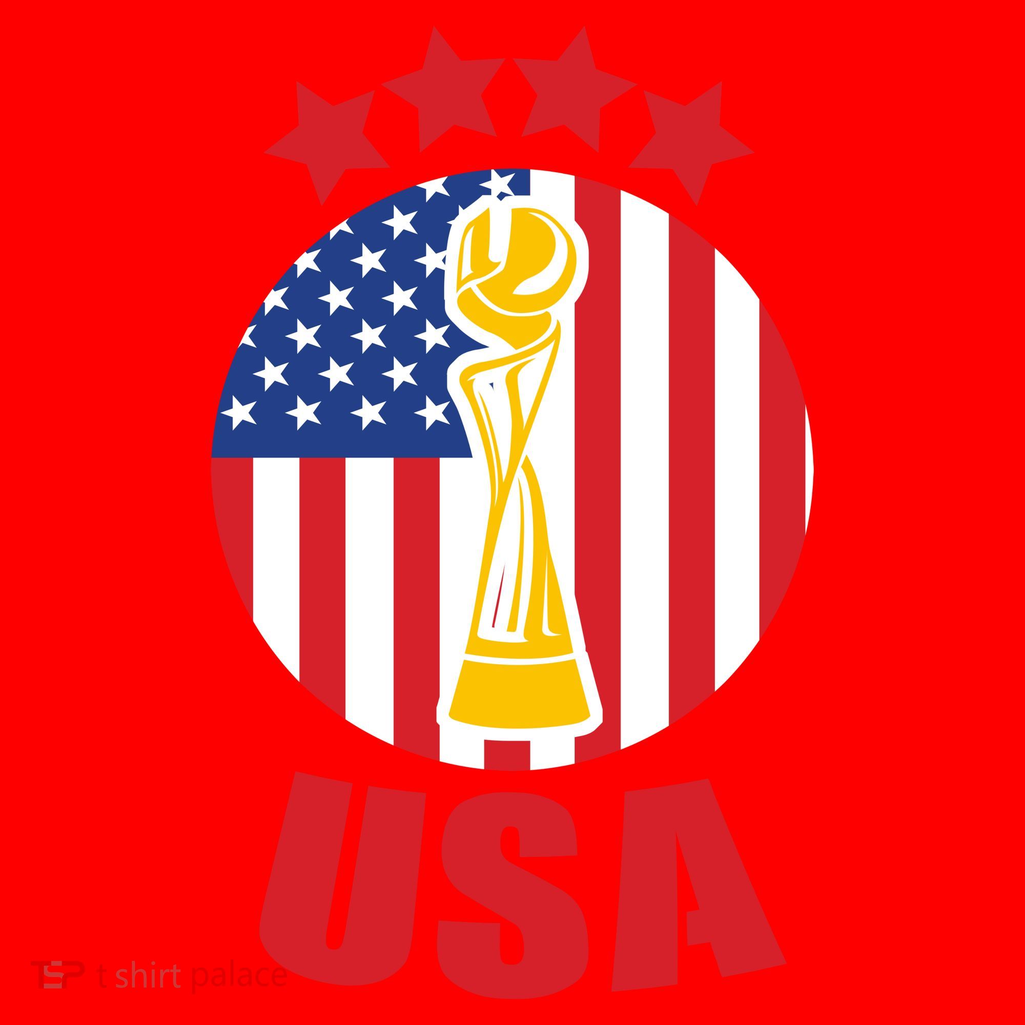 USA Women's Soccer Championship Santa Hat