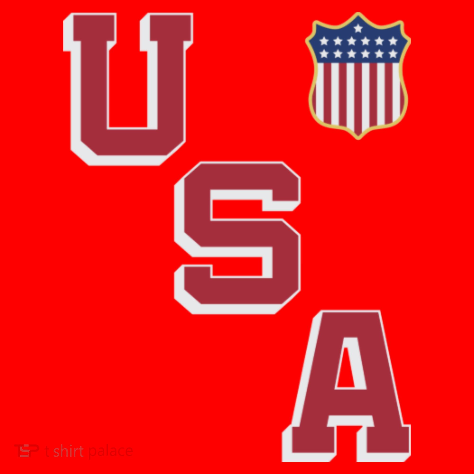 USA Soccer American Team Jersey Santa Hat