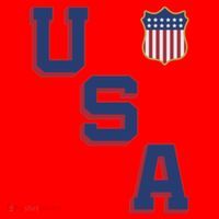 USA Soccer American Team Jersey Santa Hat thumb 1