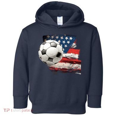 Usa Soccer Ball And Flag Toddler Hoodie
