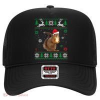 Ugly Sweater Christmas Squirrel Lover Santa Hat Animals Cute Gift Hat thumb 0