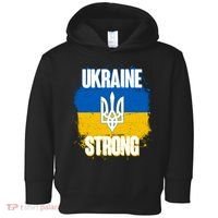 Ukraine Strong Distressed Painted Flag I Stand With Ukraine Toddler Hoodie thumb 0