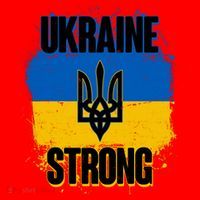 Ukraine Strong Distressed Painted Flag I Stand With Ukraine Santa Hat thumb 1