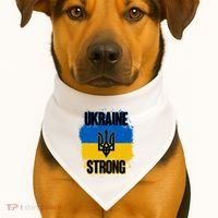 Ukraine Strong Distressed Painted Flag I Stand With Ukraine USA-Made Doggie Bandana thumb 1