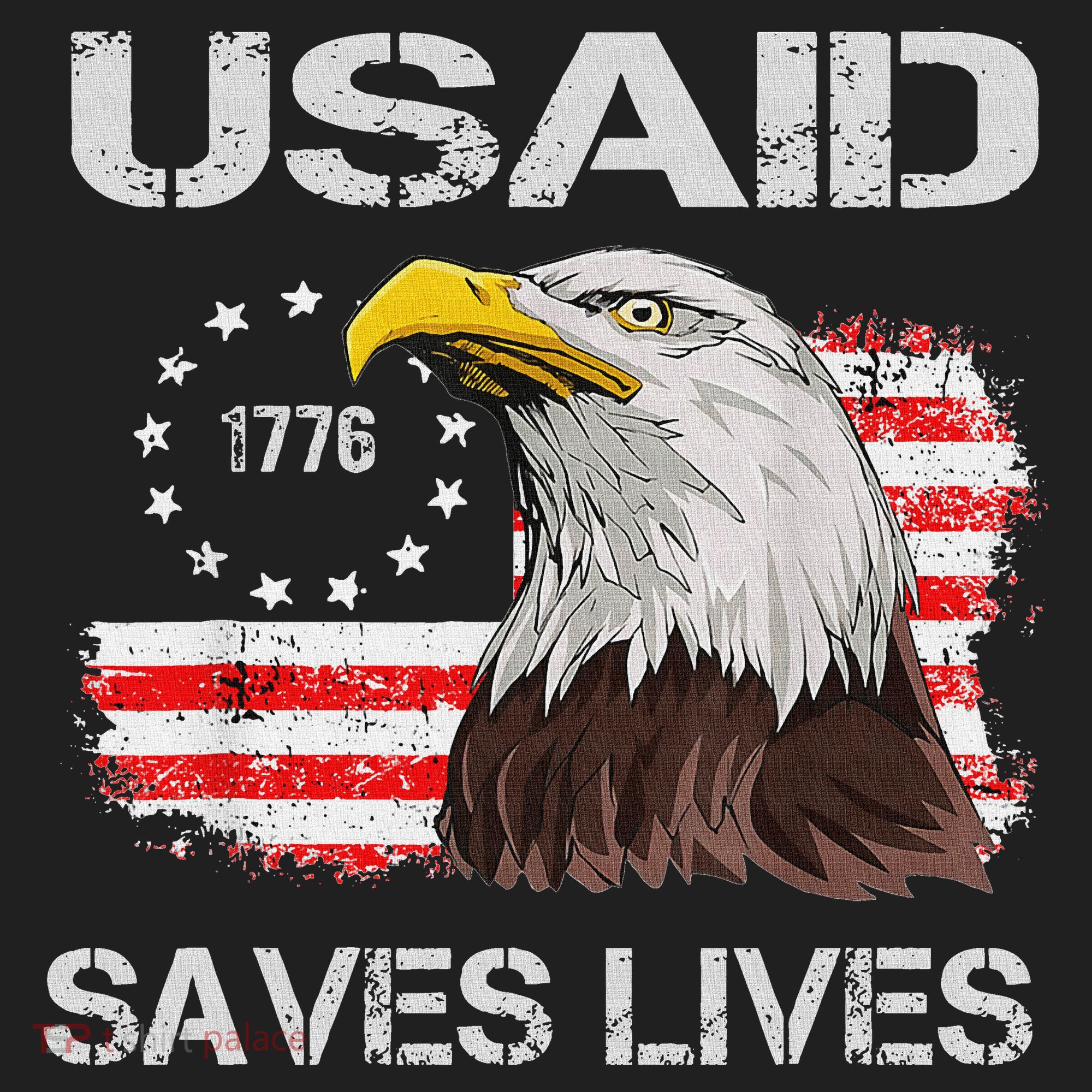Usaid Saves Lives Beanie