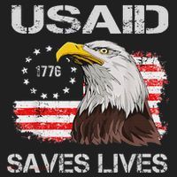Usaid Saves Lives Hat thumb 2