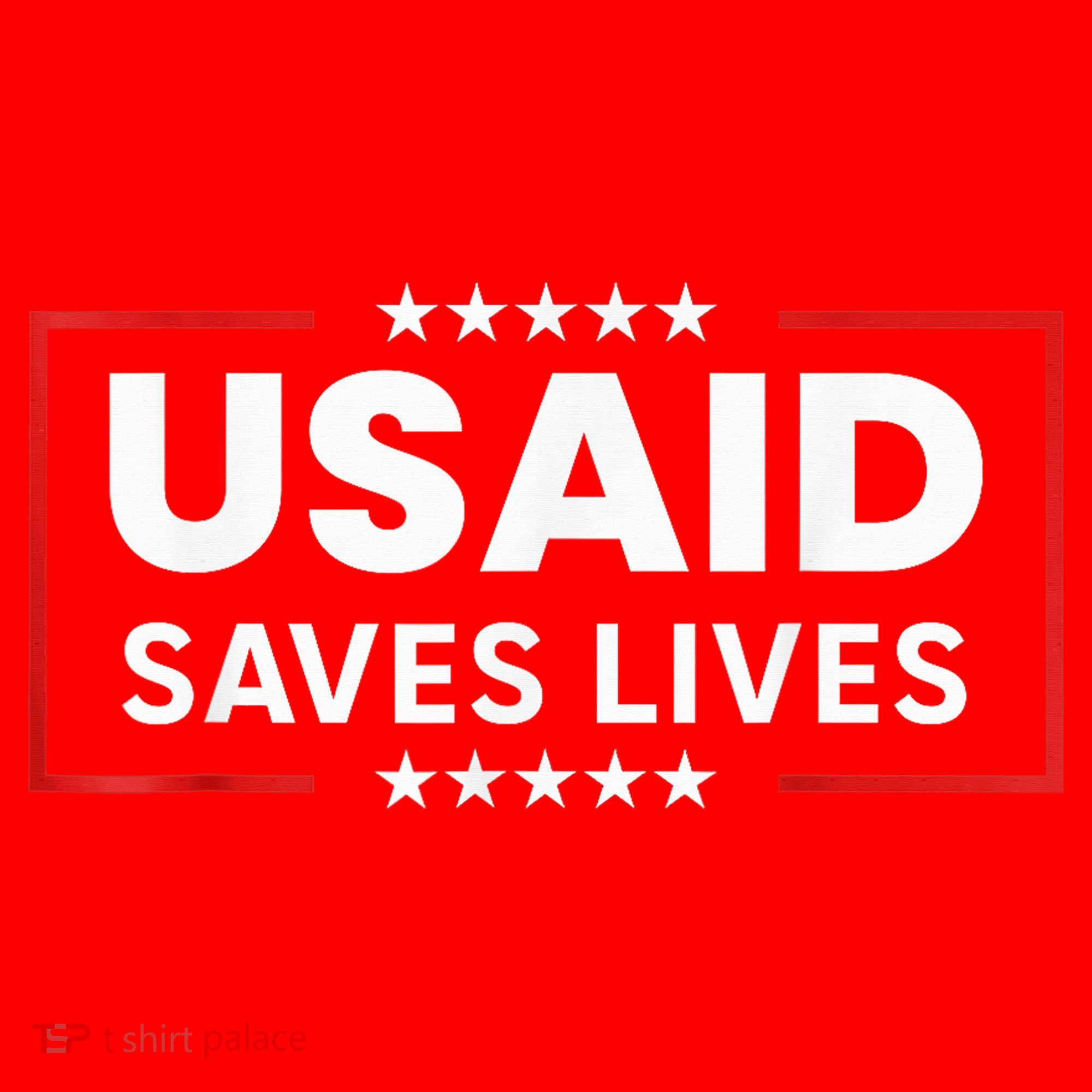 Usaid Saves Lives Us Agency International Developt Santa Hat