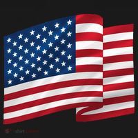 United States Of America Flag Waving Women's Hoodie thumb 2