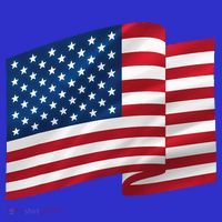 United States Of America Flag Waving Polo thumb 2