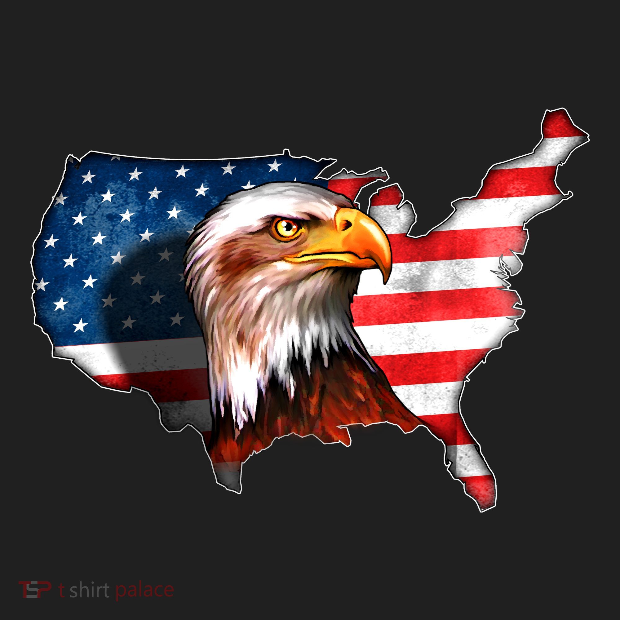 United States Of America Bald Eagle Tumbler