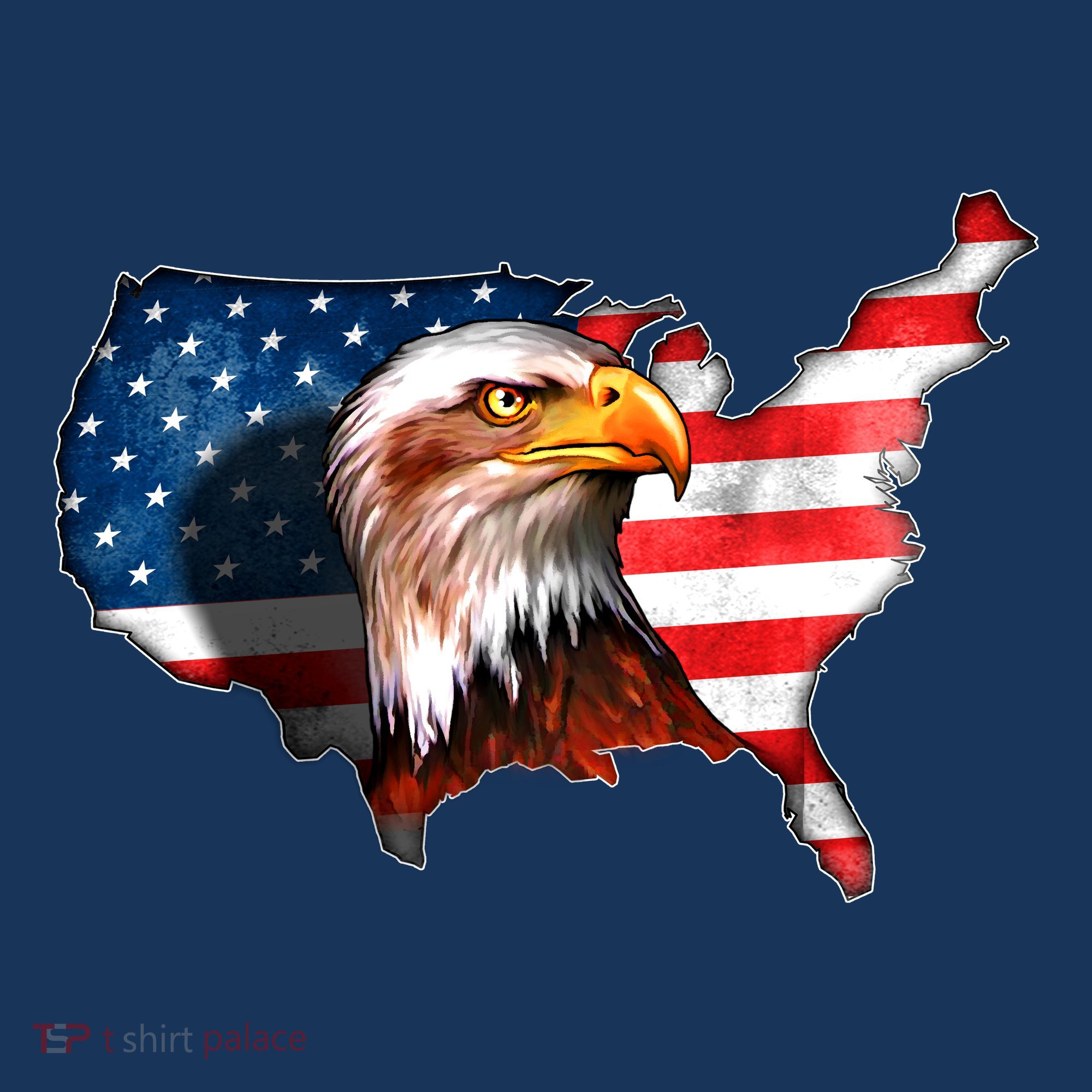 United States Of America Bald Eagle T-Shirt